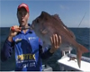 VIDEO: Fishing The Edge – Snapper on plastics